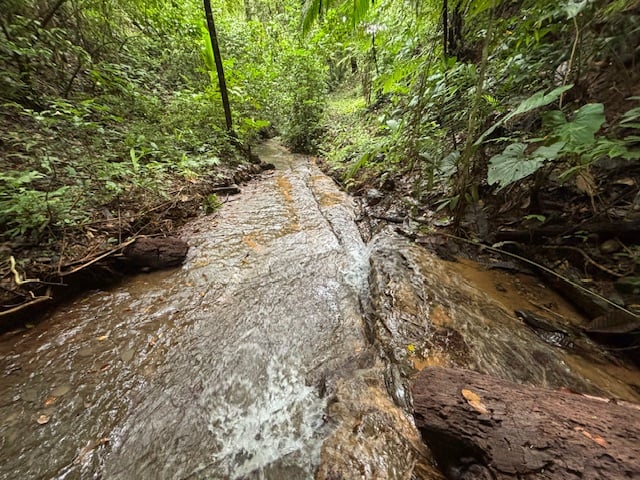 17.85 ACRES – Stunning Large Land With 2 Waterfalls Near Dominical Beach!!!