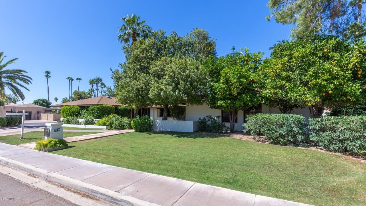Single-story home behind a broad lawn, shaded by mature trees and an orange tree.