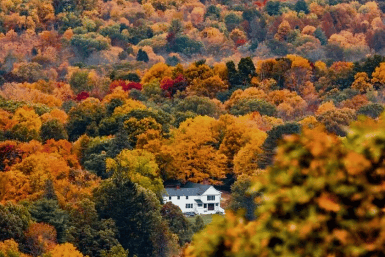 Why September Can Be a Strategic Time to Sell in Fairfield County, CT