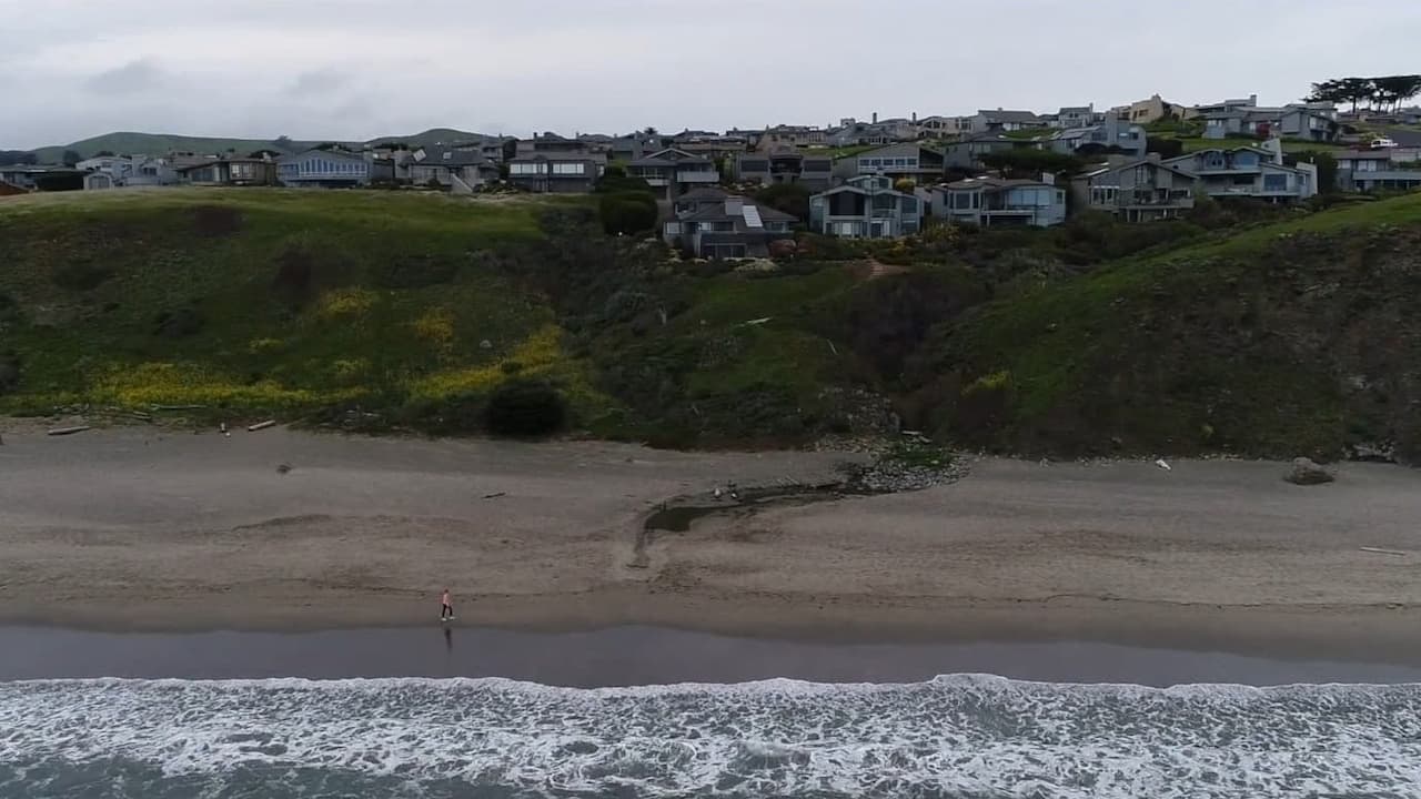 Bodega Bay (Sotheby Project)
