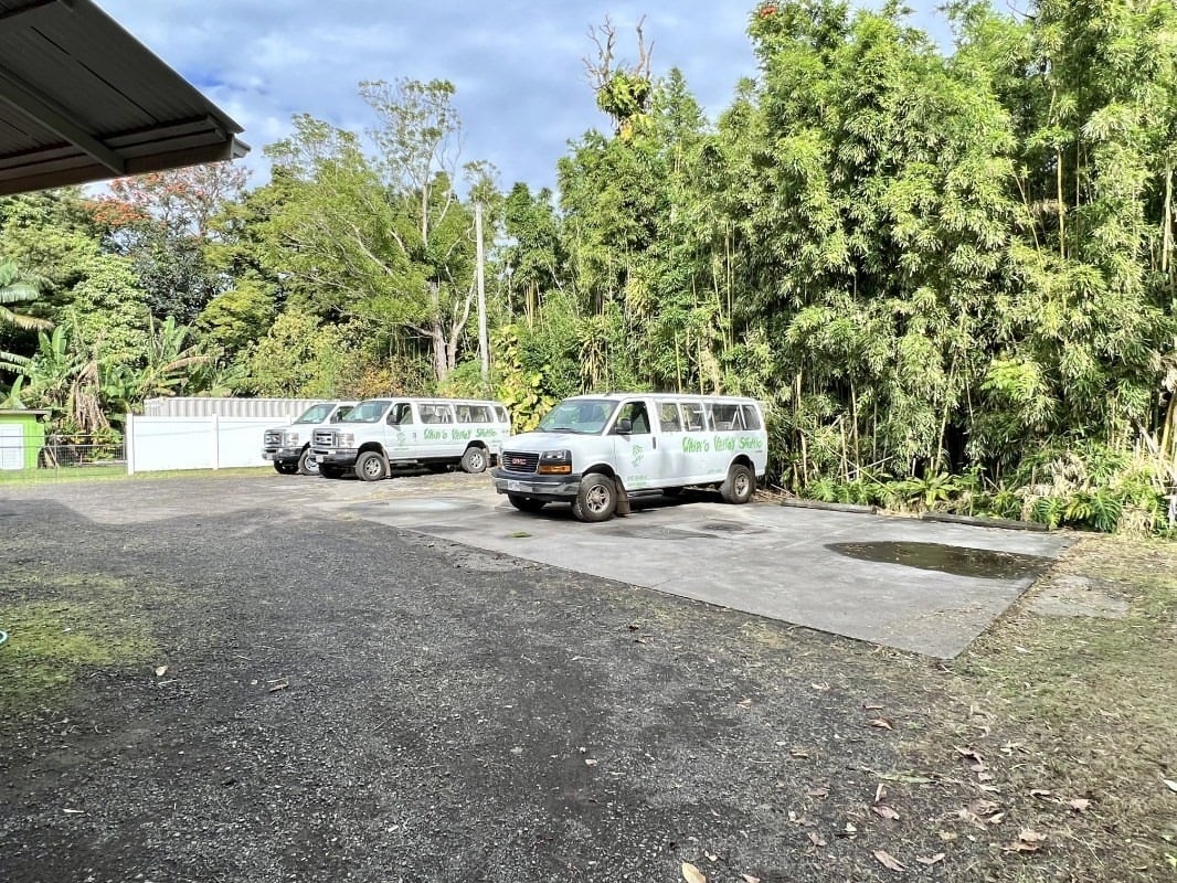 Commercial property parking area with white vans and dense tropical bamboo.