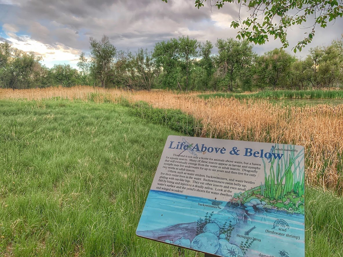 Fountain Creek Nature Center: A Must-Visit Outdoor Escape Near Colorado Springs