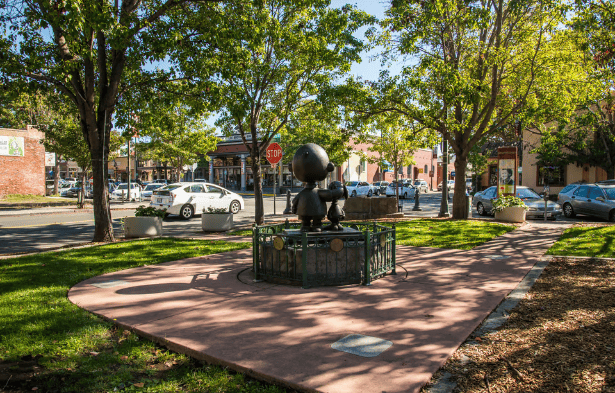 Sonoma County Market Update