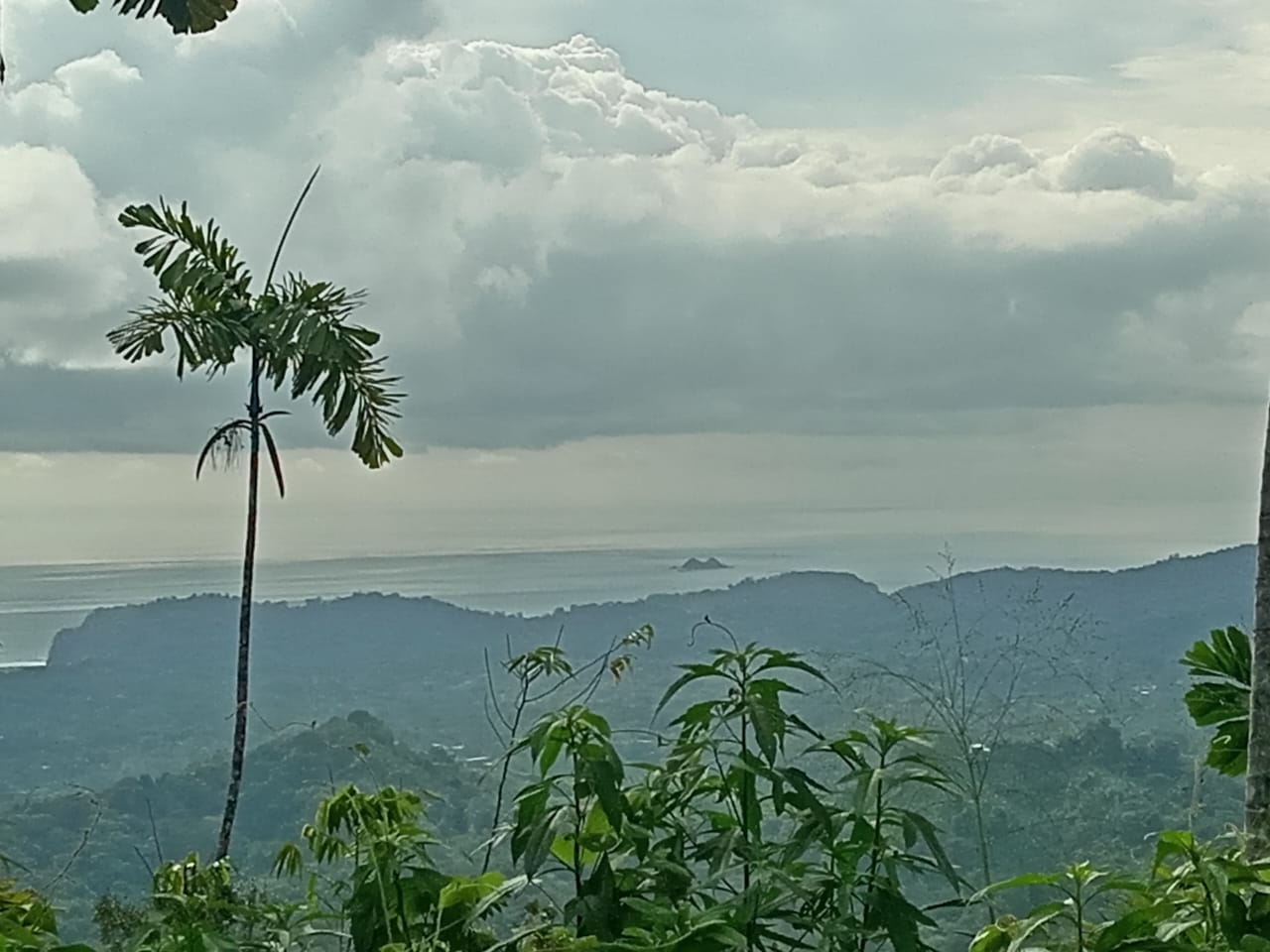 0.46 ACRES – Ocean View Land With Ready To Build Site, 2 Minutes Away From El Pavon Waterfall, Utilities On Site & Virgin Forest!!!