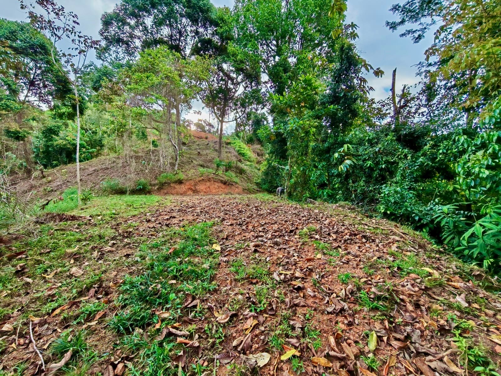 24.7-Acre Ocean View Eco Estate in San Cristóbal de Aguirre | 5 Building Sites