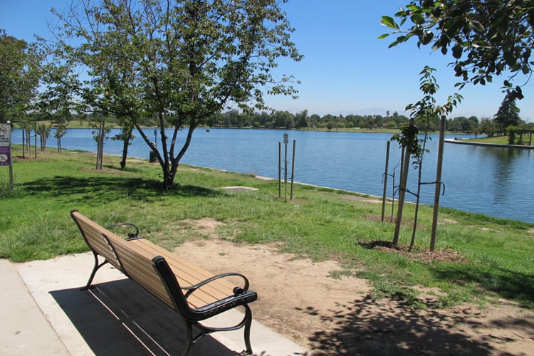 Bench overlooking the lake at Anthony C. Beilenson Park (Lake Balboa Park) in the San Fernando Valley
