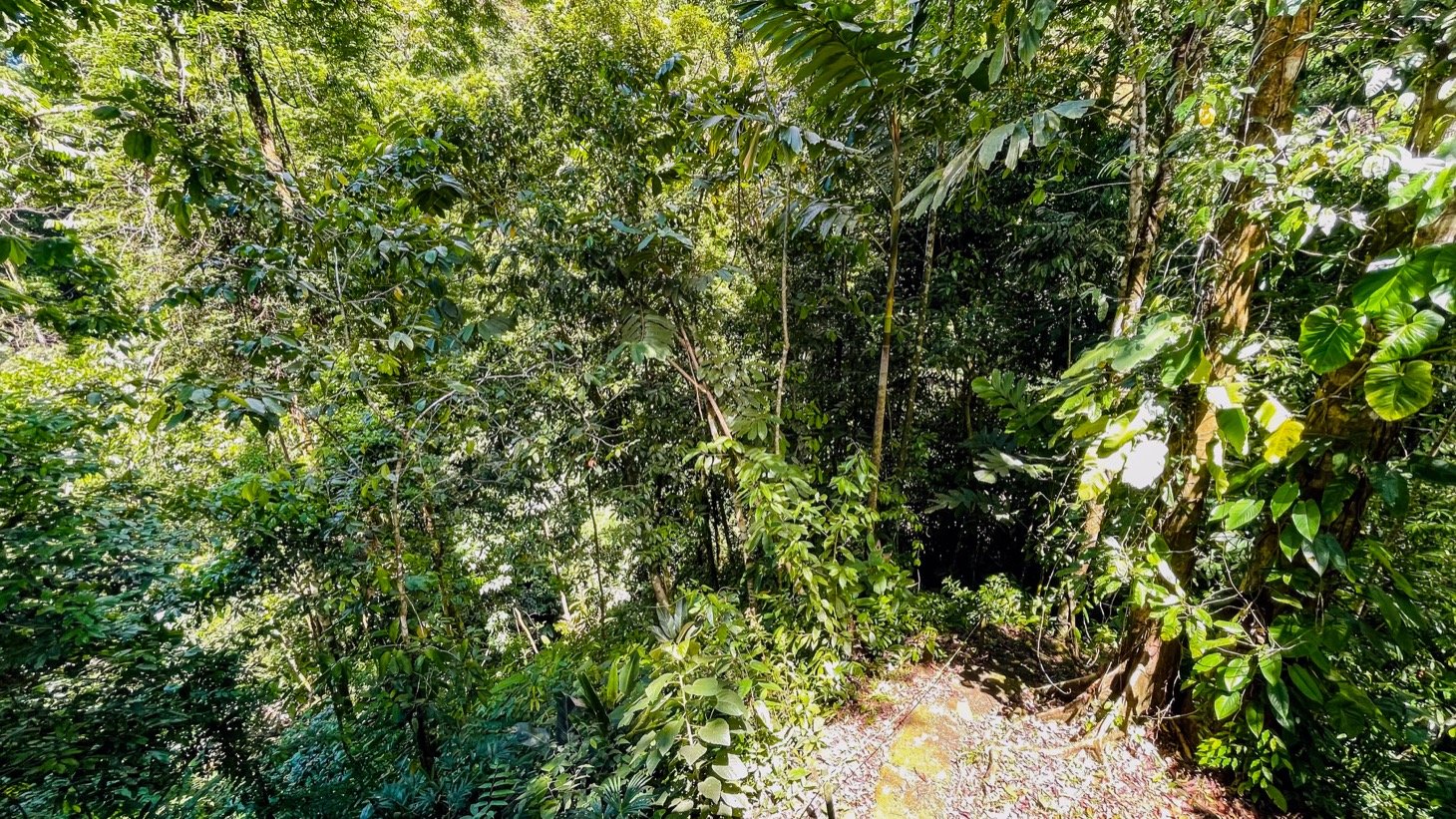 Nature Retreat Estate – Southern Pacific Zone, Costa Rica
