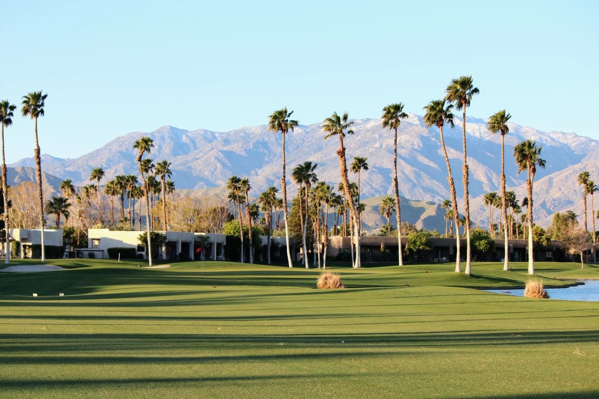 The Citrus Club