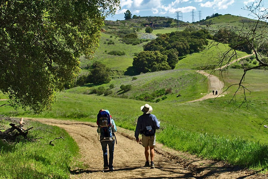What's New in Almaden Valley? How Restaurants, Shopping & Convenience Are Shaping the Neighborhood Lifestyle cover