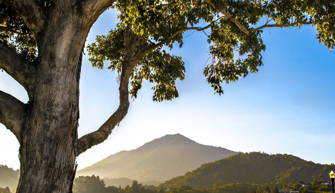 Mill Valley
