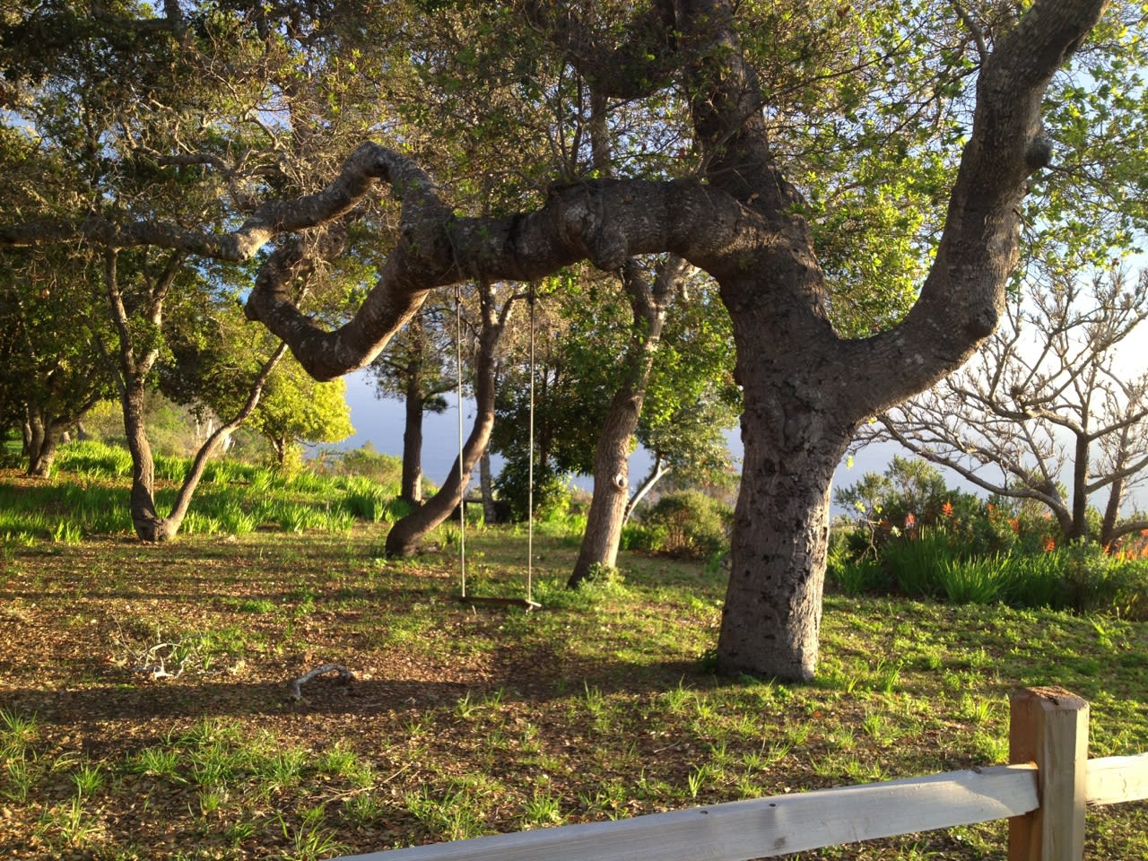 Coast Ranch - Big Sur Luxury Rental