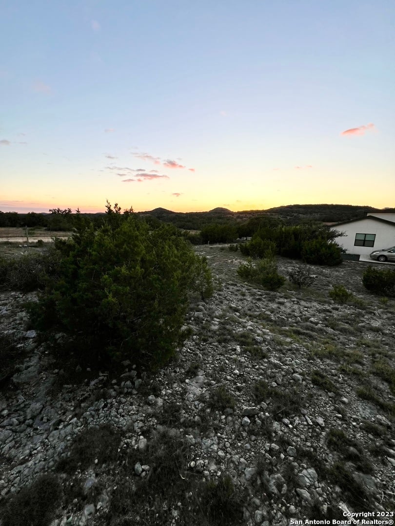 10202 Nina Ridge