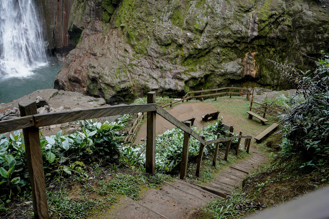 La Monarca