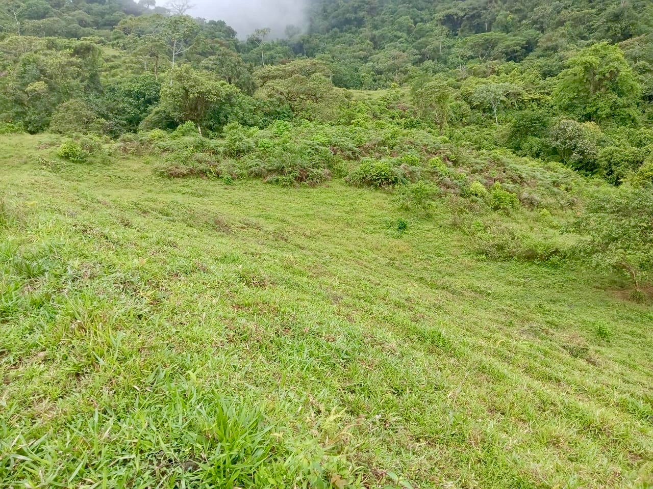 Los Cerritos Farm – 6.4 Acres of Ocean & Mountain Serenity