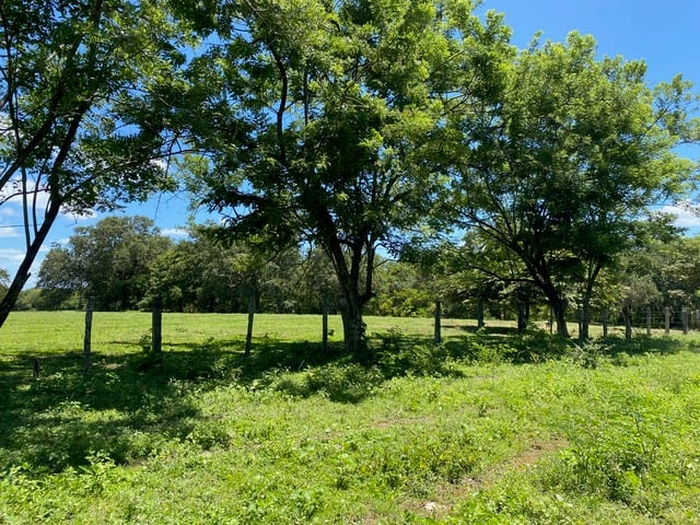 Hacienda Ruiseg Largo | A 784-Acre Ranch in the Heart of Guanacaste, Costa Rica – Your Ideal Investment Opportunity