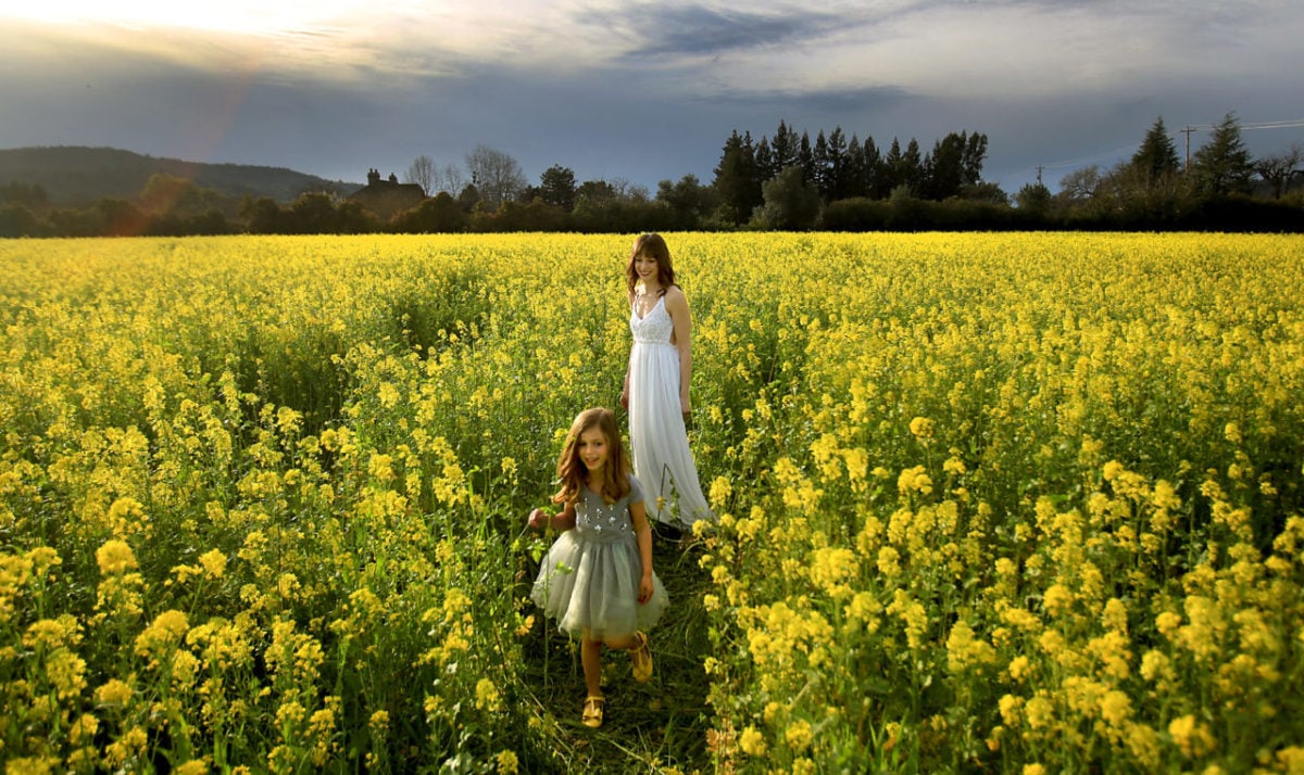 10 Sonoma County Spots for Seeing Mustard in Bloom