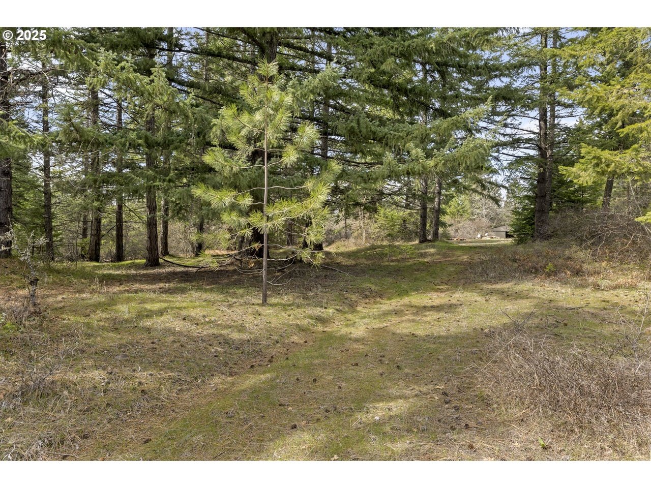 20 Silva Cutoff Rd