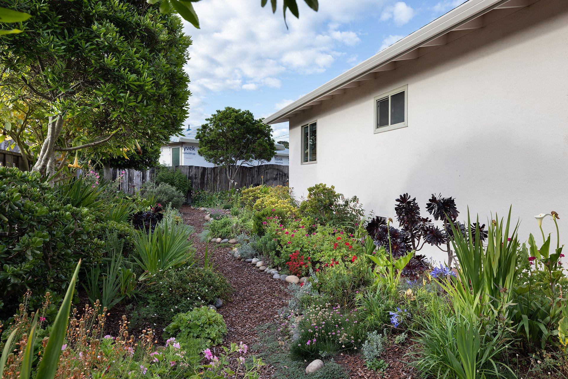 Pacific Grove Charm