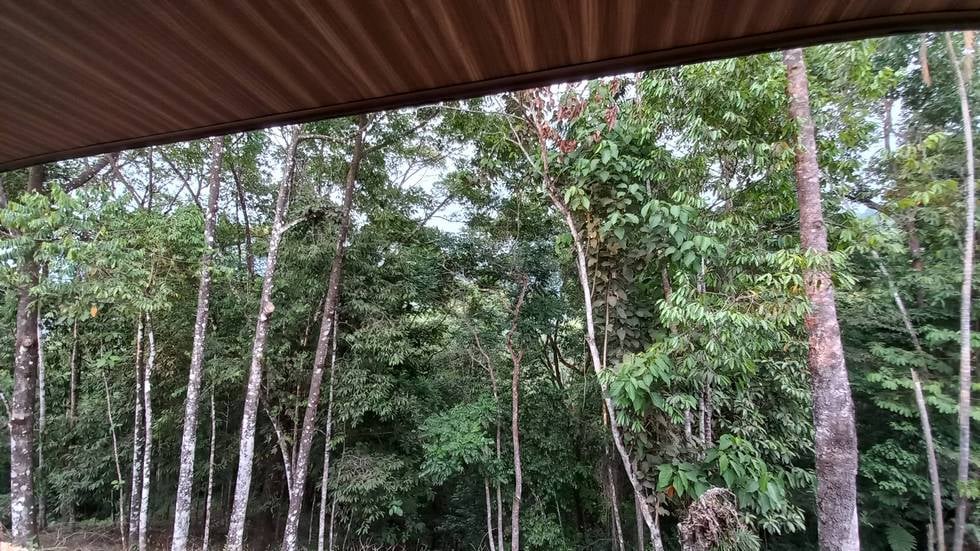 New Home and Guest Villa near Tinamastes Alfombra