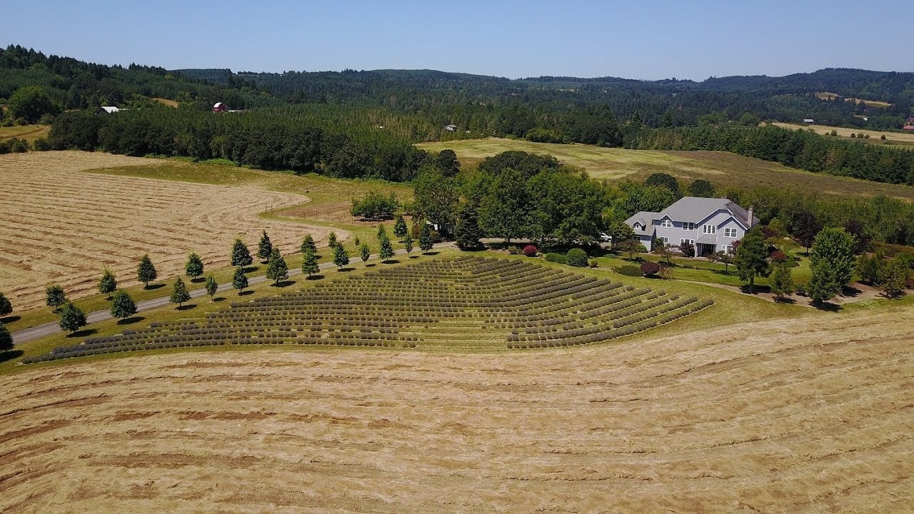 Willamette Valley Estate