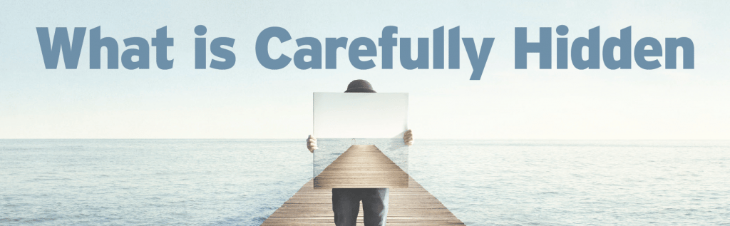 What is Carefully Hidden