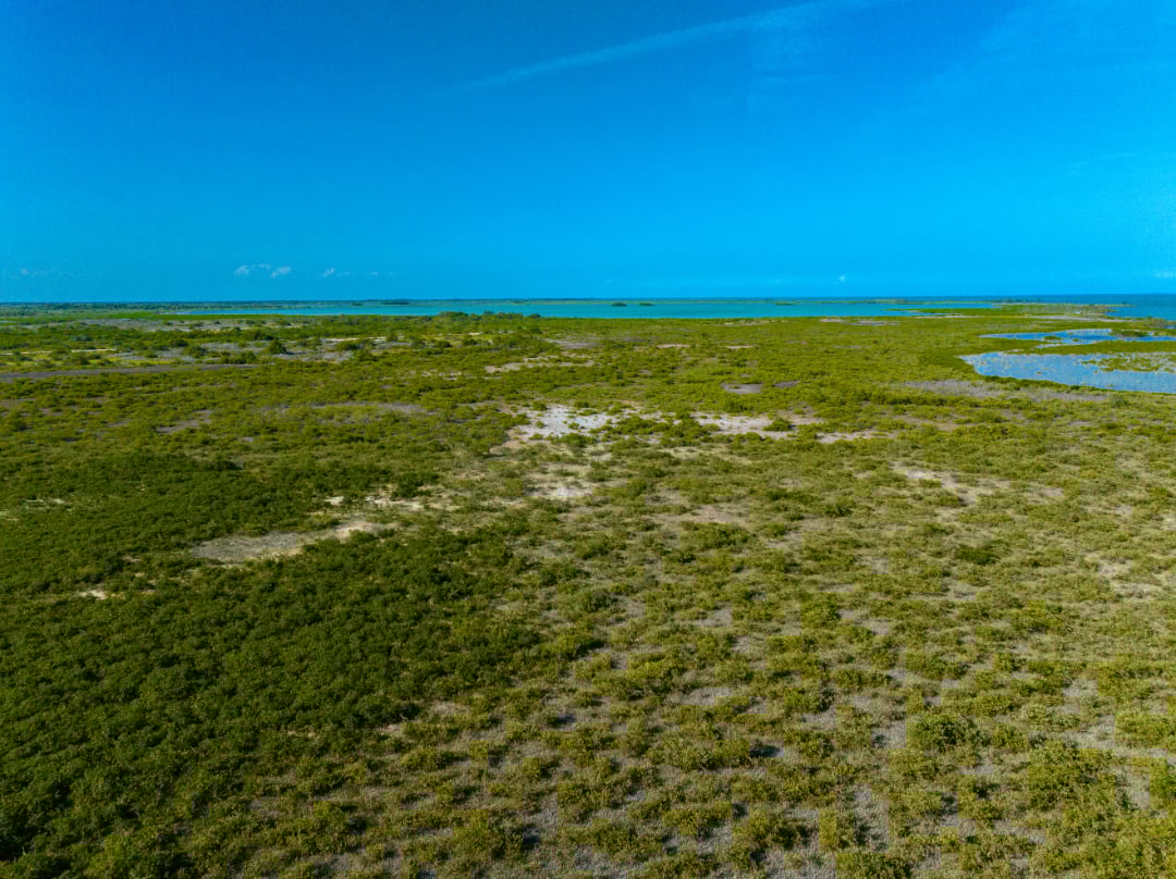 Rancho Del Cielo Maya