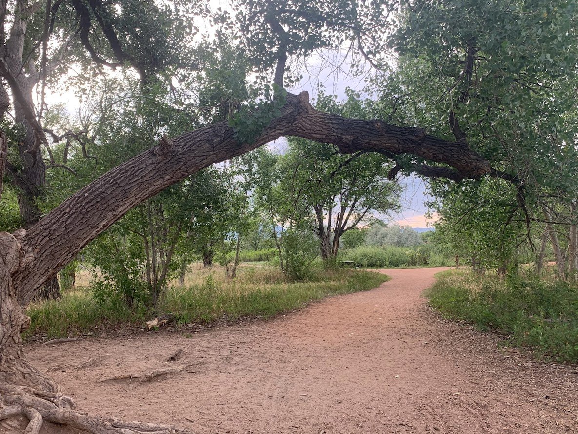 Fountain Creek Nature Center: A Must-Visit Outdoor Escape Near Colorado Springs