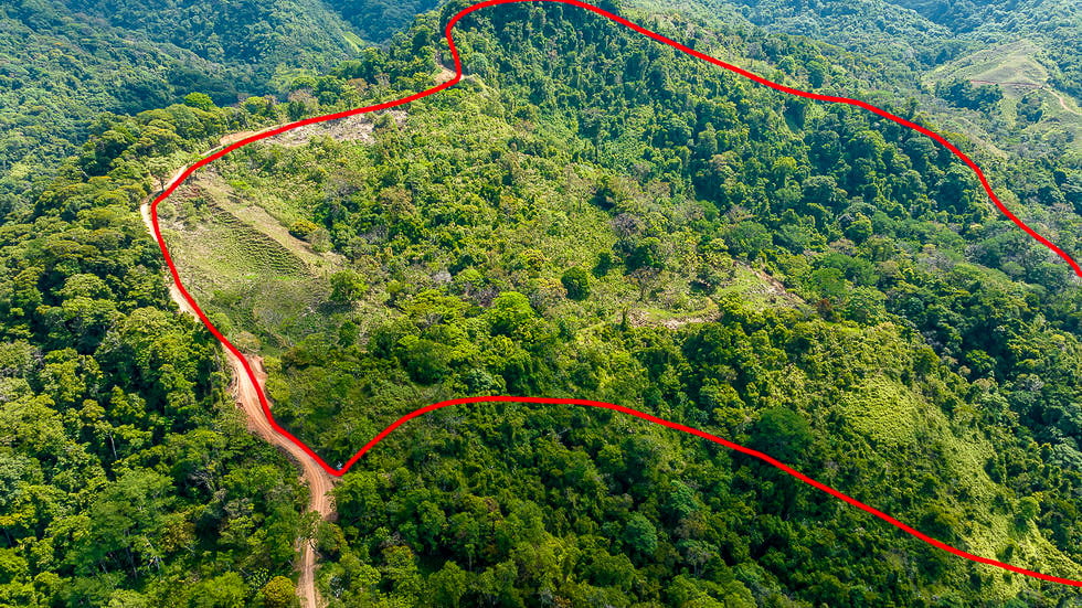 Whale Tail Views Luxury Waterfall Farm