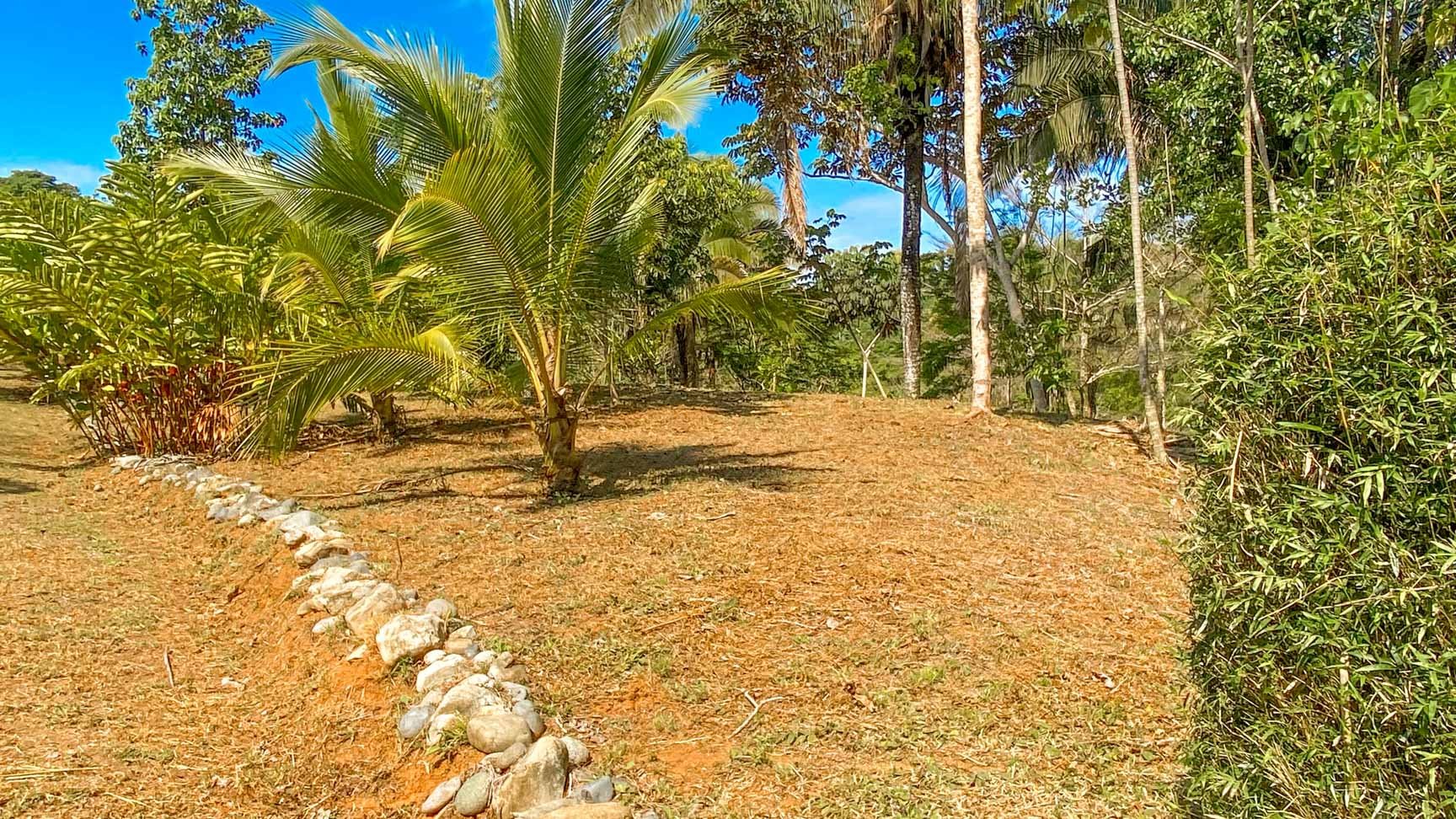32-Acre Self-Sustainable Off-Grid Farm Near Ojochal with House, Solar Power & River