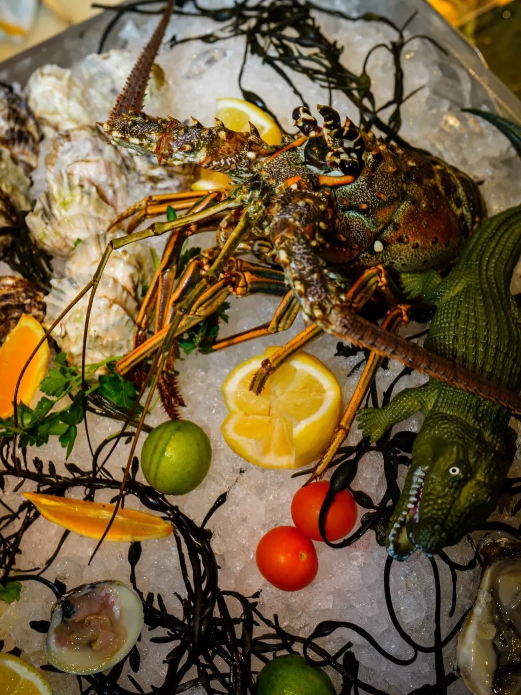 🍽️ Miami’s Dining Scene Heats Up: Ezio’s Opens in North Beach