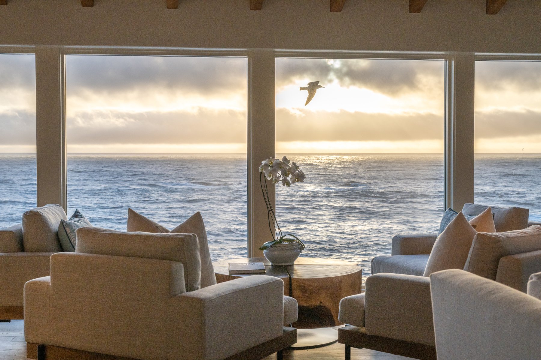 Serenity by the Sea