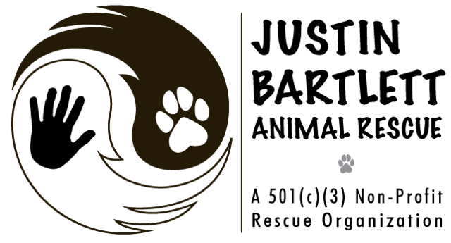 logo {{@index}}
