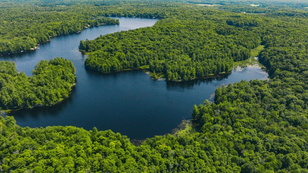 Camel Lake