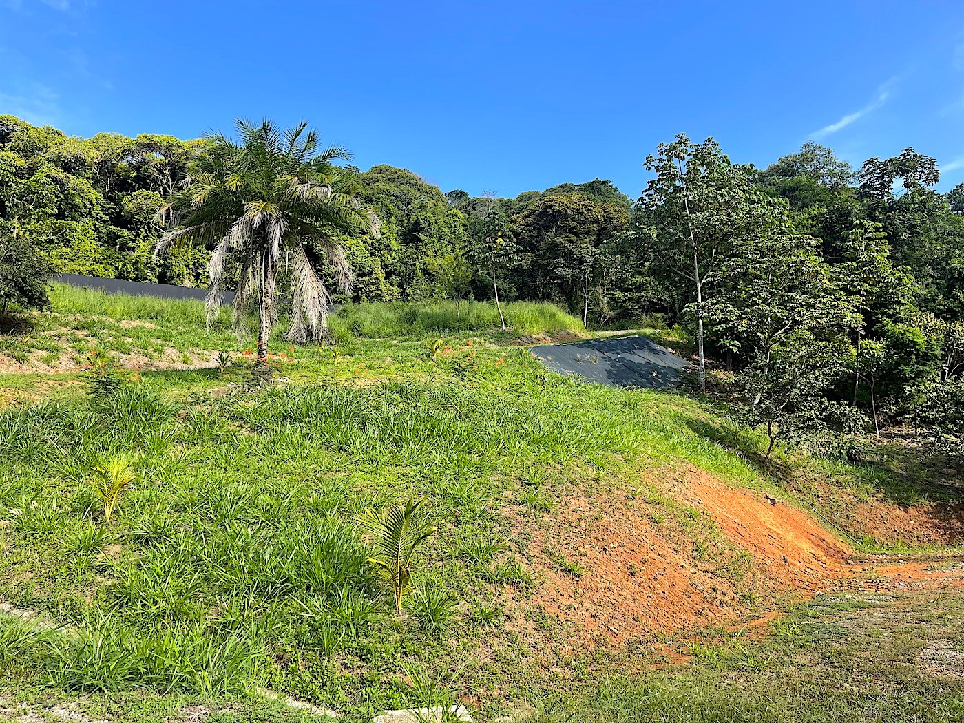 30-ACRES OF LAND WITH RIVER ACCESS, ROADS, AND BUILDING PADS IN LAGUNAS