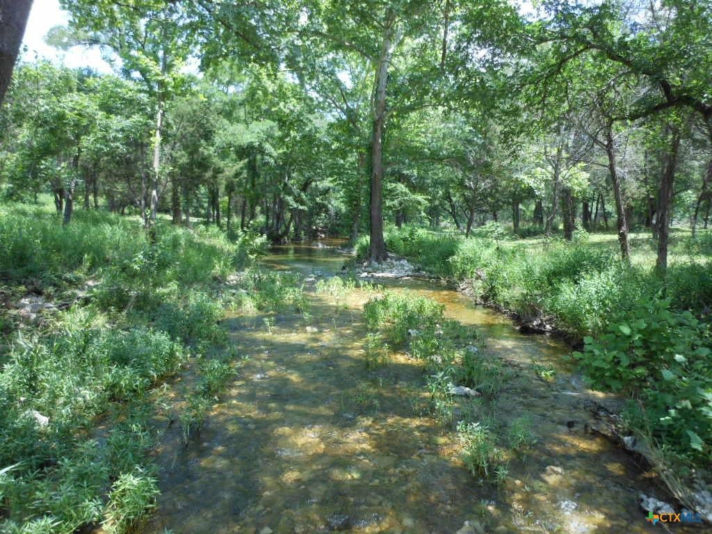 Hidden Springs