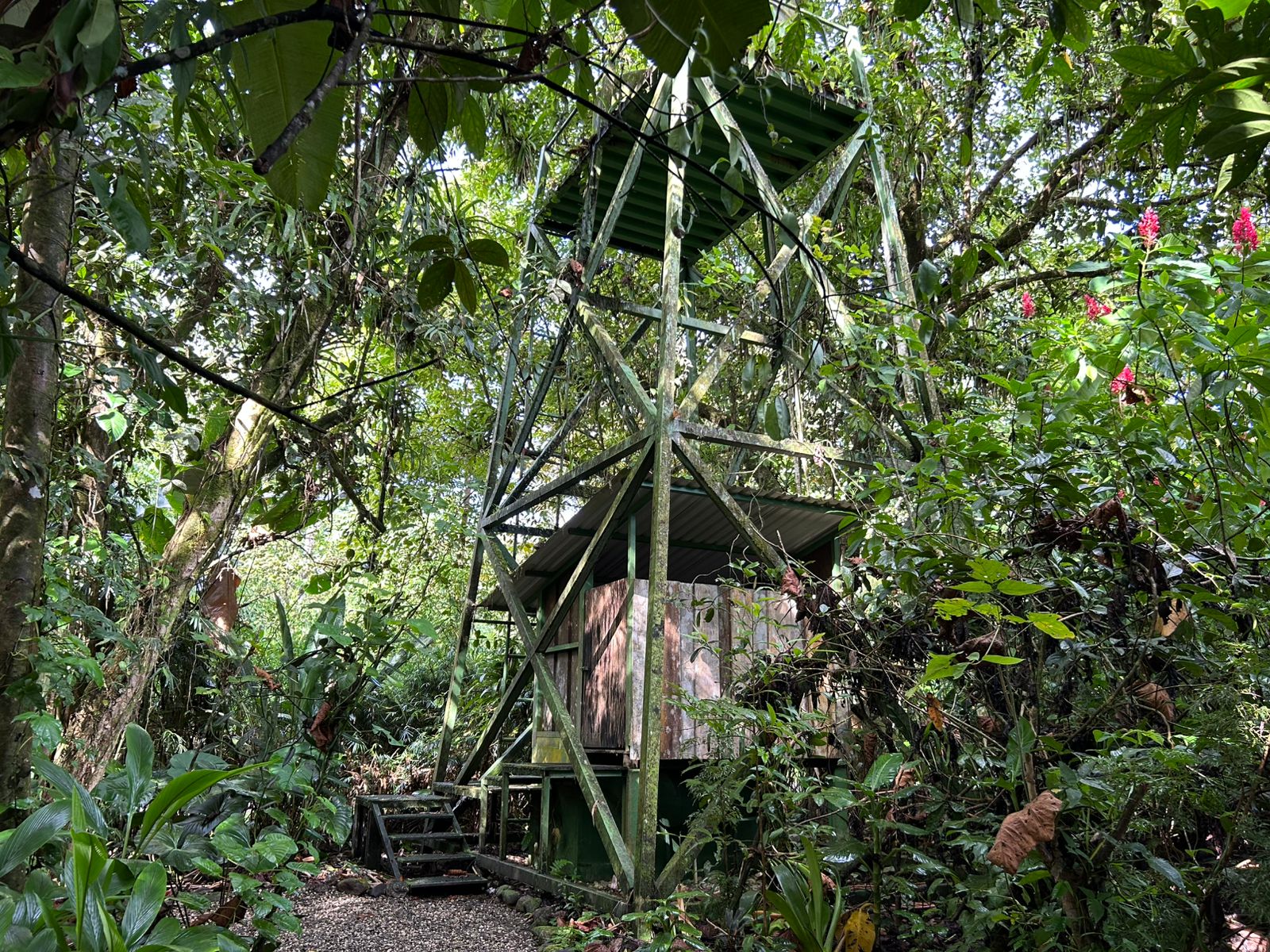 60 Acre Fully Sustainable and Impactful Conservation Initiative Near Golfito