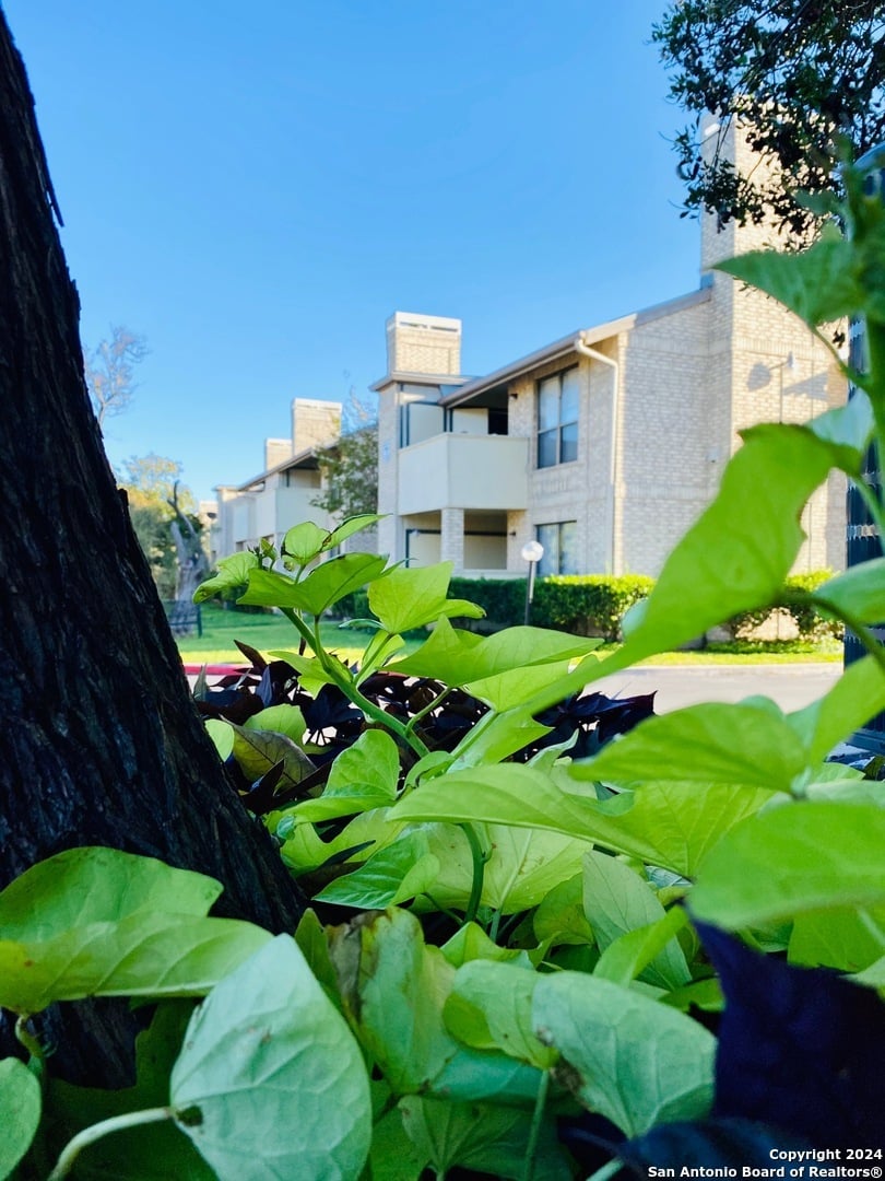 11843 Braesview #507E