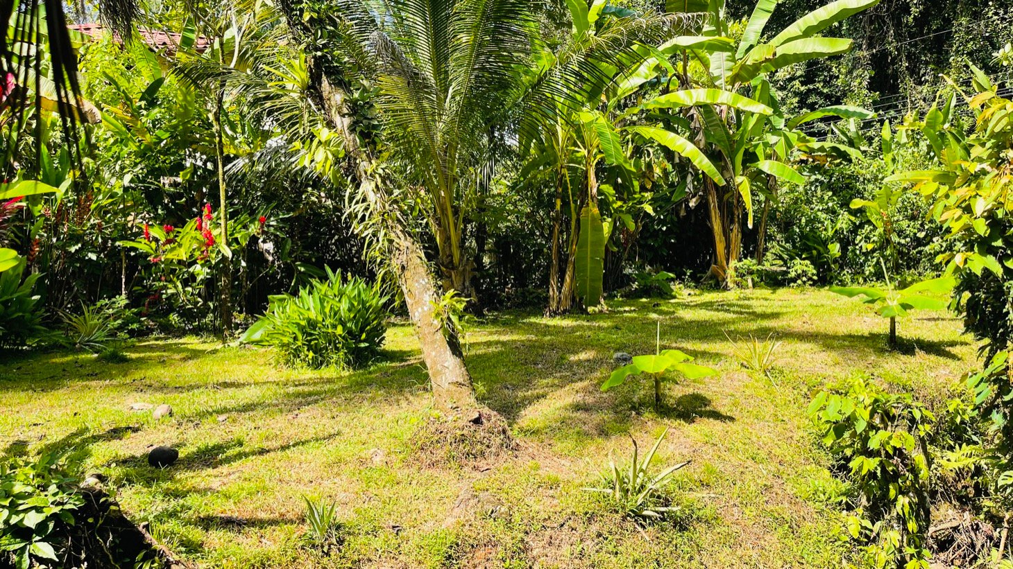 Tropical River Property with Cabinas, Pool & Event Space in Ojochal