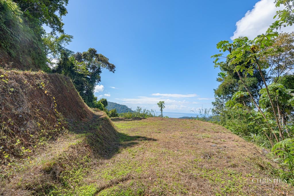 A Rare Thermal-Wellness Development Opportunity - Cacao Estates