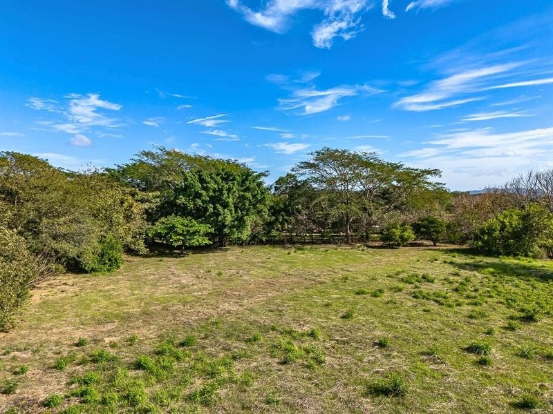 Portegolpe Lot | 2.84 Acres Property With Paved Road Frontage