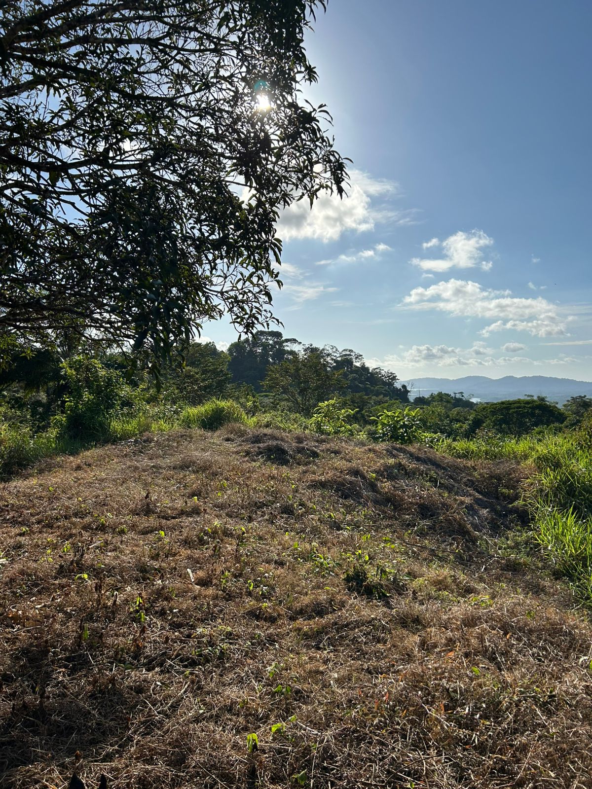 67 acres development (15 titled lots) with breathtaking views in Sierpe