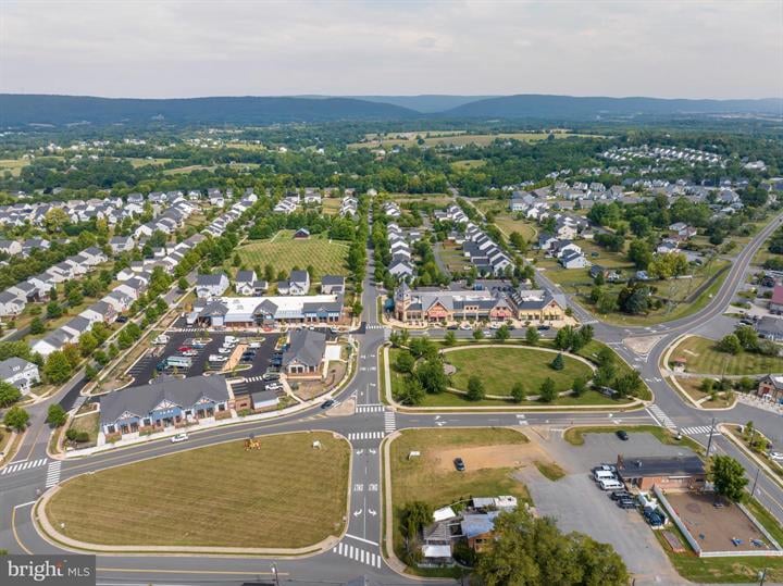 What's Happening in Lovettsville This Summer (And Why It's Worth Clearing Your Calendar)