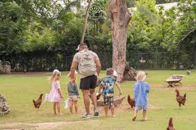 Discover Marinela: An Exceptional Holistic School in Barbados