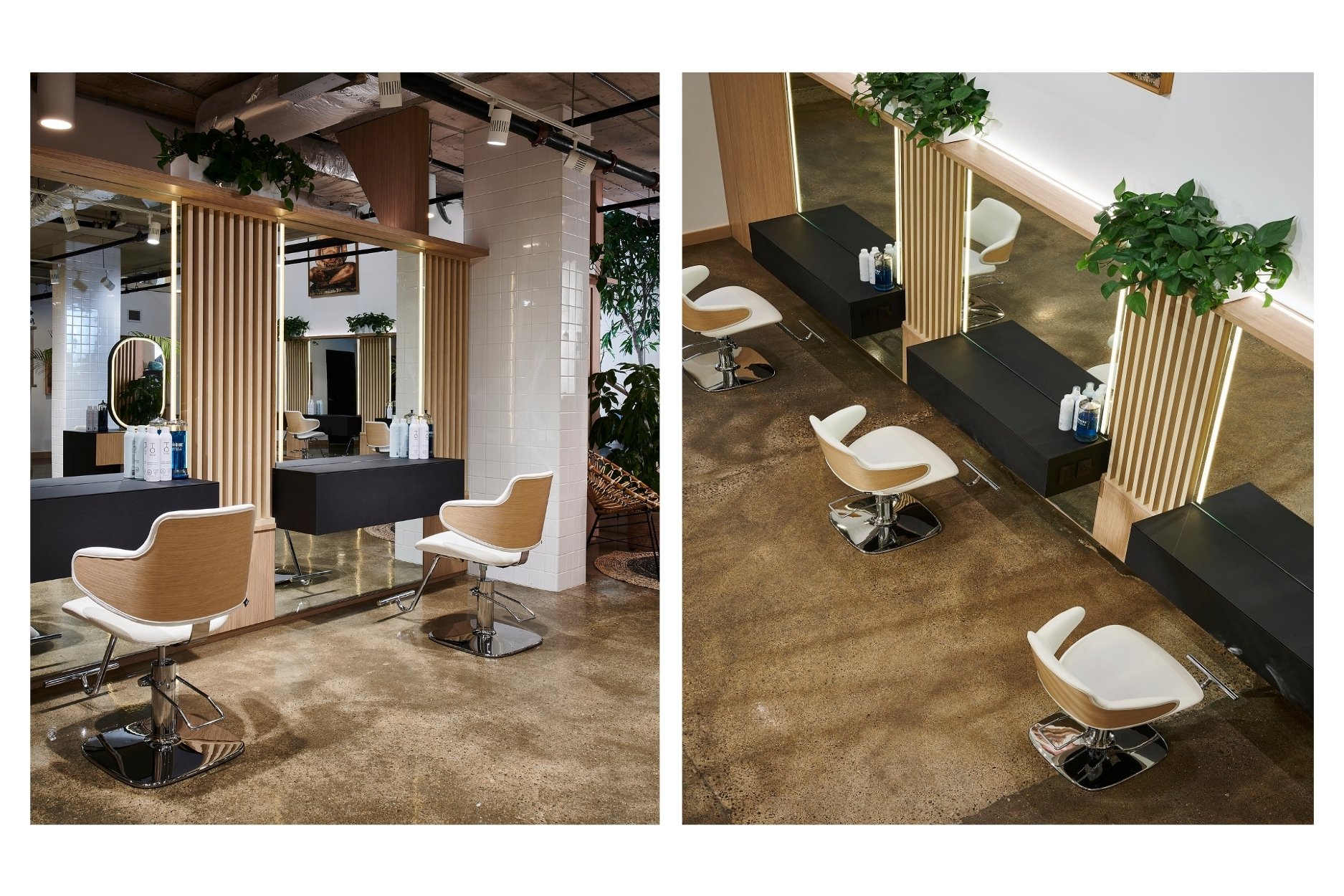 Medulla & Co. | Mr. Yorkville