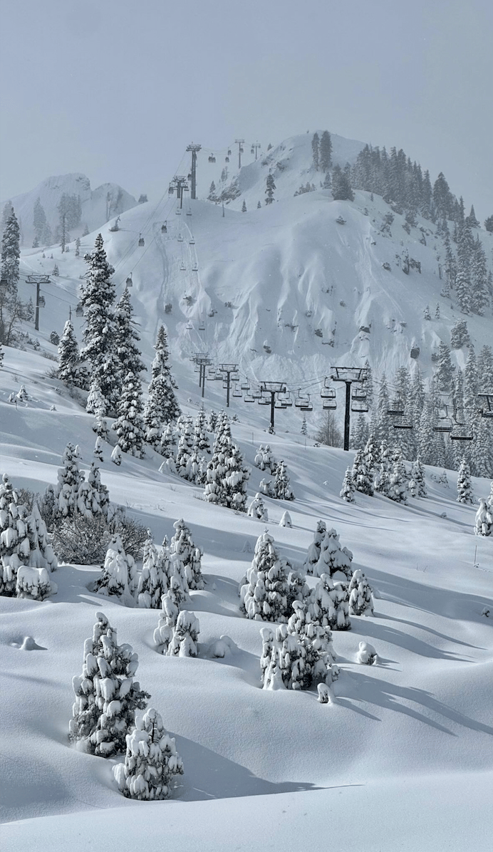Truckee Tahoe Market Update :: April