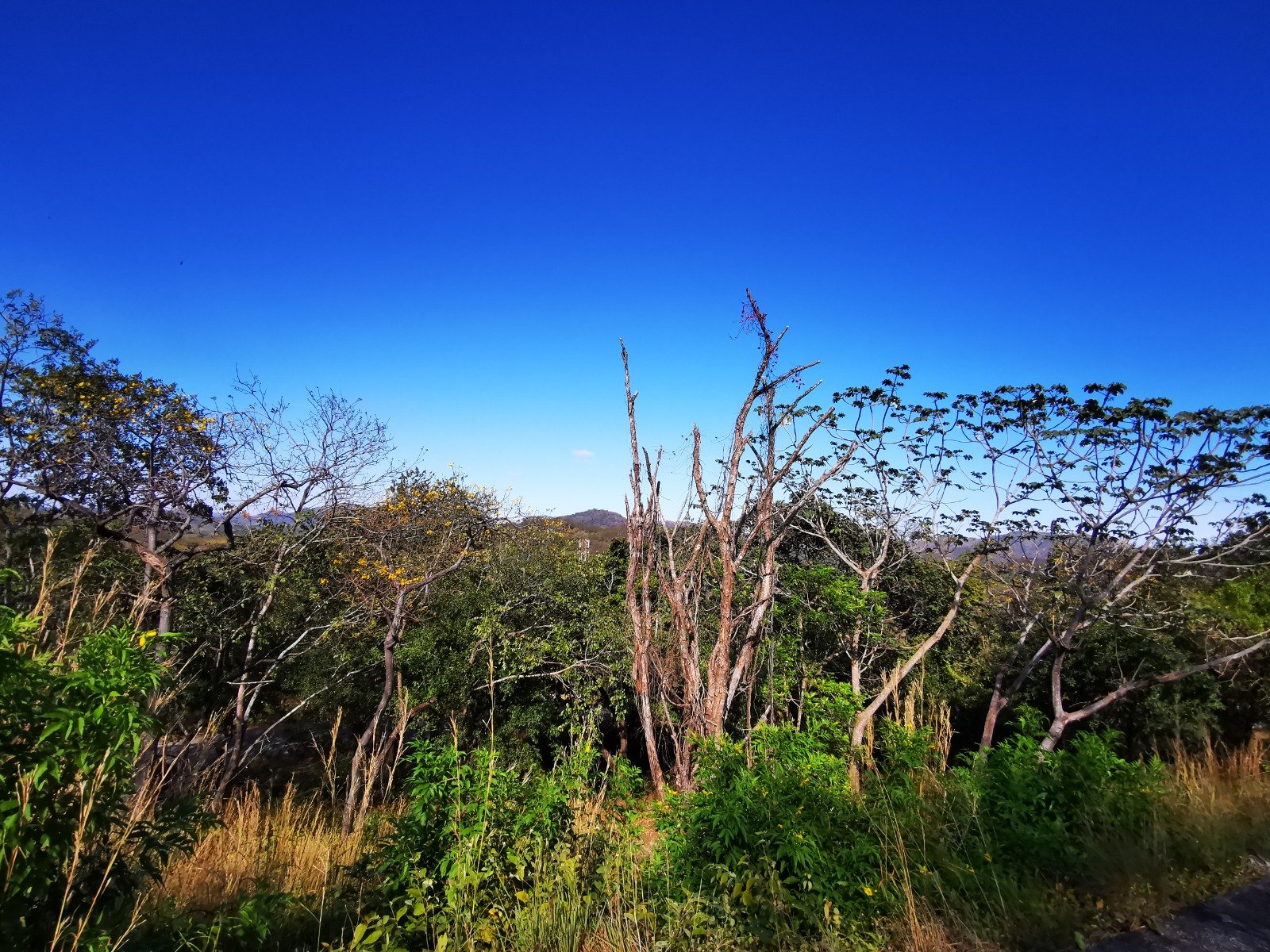 Valle Escondido