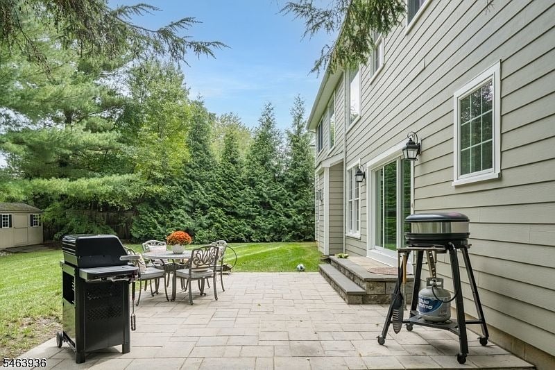 Backyard patio with outdoor dining furniture and grills beside a two-story house and tree-lined lawn.