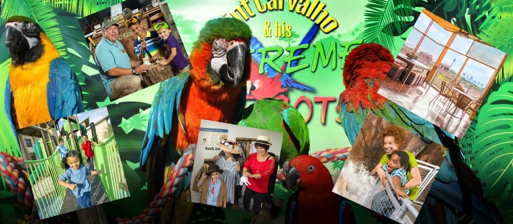 Spring Preserve Events & Activities September