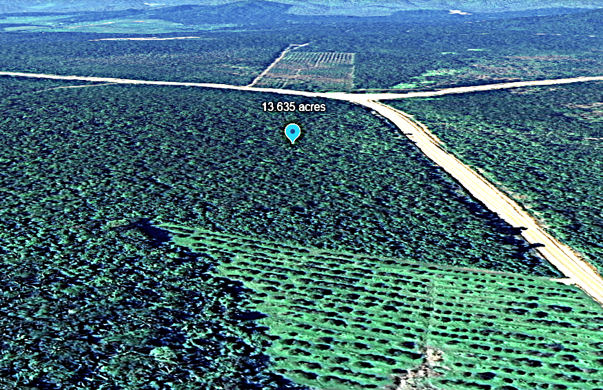 The Nelly Creek ecotourism gateway at Mullins River, coastal Belize.