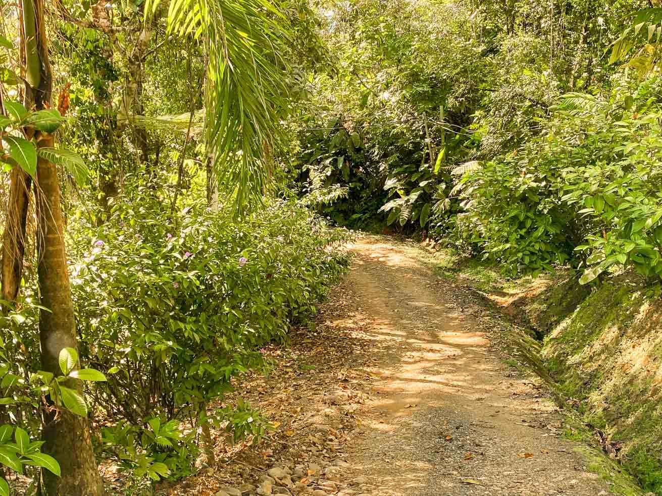 3 Bedroom Rainforest Home in Ojochal With River & Waterfall | 3.5 Acres Private